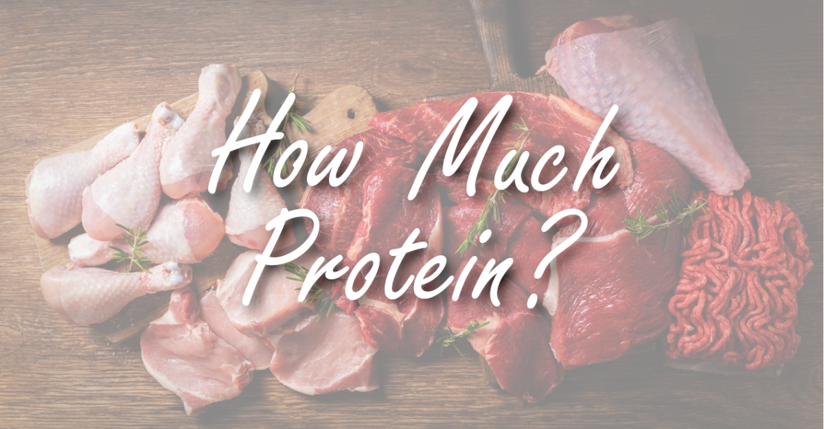 The Protein Connection 